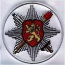Embroidery Design Patch Photo: Lion