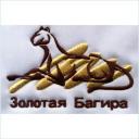 Embroidery Design Patch Photo
