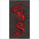 Embroidery Design Patch Photo