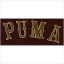 Embroidery Design Patch Photo