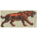 Embroidery Design Patch Photo