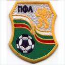 Embroidery Design Patch Photo