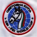 Embroidery Design Patch Photo