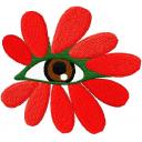 Stock Embroidery Design