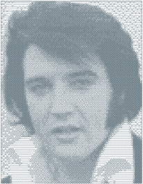 Photo Embroidery Sample - Elvis